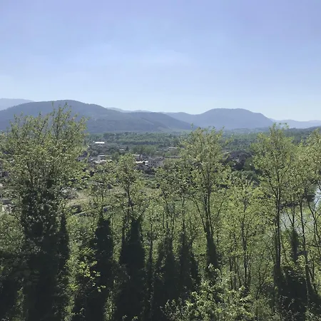 Dei Fiori *